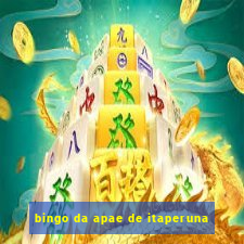 bingo da apae de itaperuna